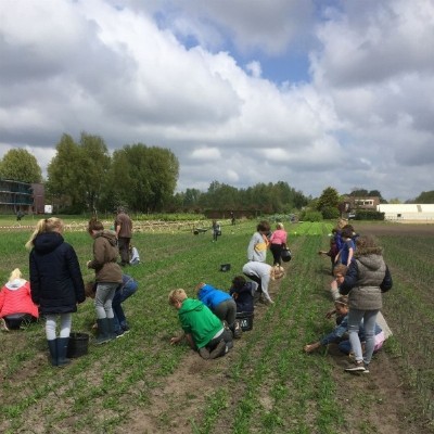 Wij Telen Groente: Biologische Zelfoogsttuinderij