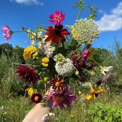 Kom bloemen plukken op onze Plukweide