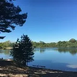 Rondje Oosterplas in juni