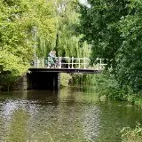 Ochtendwandeling met IVN: Natuur in de stad Haarlem