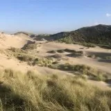 Ochtendwandeling: Beleef het duin in de Herfst