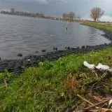 World Clean-up Day: Opschonen Spaarne Oevers