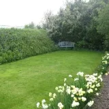 In de fijne sfeer van de Stiltetuin is een Grasveld te huur per dagdeel