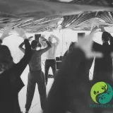 Qigong op de dinsdagavond (vanaf 13-1-2026) in Haarlem