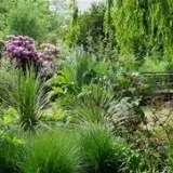 Zondagse wandeling: Ontdek de natuur in de Kweektuin