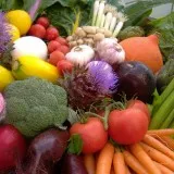 Kweekmarkt op de Haarlemmer Kweektuin