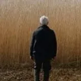 Film: Rietland