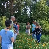 Verdiepingsmodule: Permacultuur Beplantingsontwerp voor de Tuin