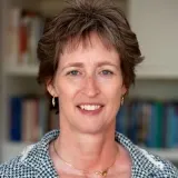 Opstellingen: trauma transformeren