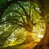 Gratis introductieworkshop Veiligheid Faciliteren