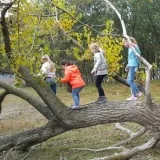 Kinderpartijtjes in de natuur