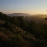 JAARPROGRAMMA DOWN TO EARTH - 2026