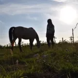 1 op 1 Reiki tussen de paarden