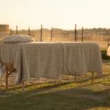 Reiki tussen de paarden