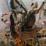 Dag workshop: t Pad van Wijsheid - Medicijnwielnumerologie