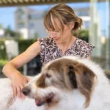 Osteopaat voor honden