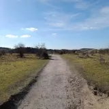 Lente stilte wandeling in de Kennemerduinen