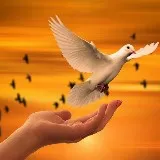 Soefi Contactdag: eenheid ervaren in een verdeelde wereld