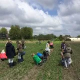 Wij Telen Groente:  Biologische Zelfoogsttuinderij