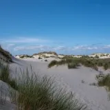 Zomer 3-daagse in Terschelling
