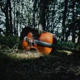 Film: Wisdom of happiness