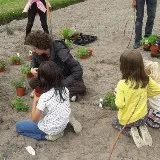 Verbouw zelf groenten en fruit bij Ecoring Haarlem! 