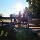 Summer School: Paardencoaching (5 dagen)