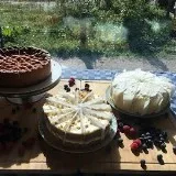 Heerlijk biologisch eten en drinken in de duinen van NP Kennemerland