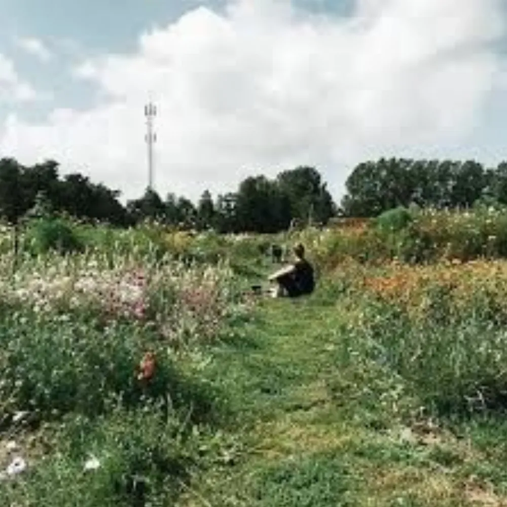 Erwin en Merel