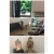 Foto 9 - Marlies Helman
