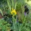 Foto 10 - in samenwerking met Iris Veltman
