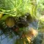 Foto 8 - in samenwerking met Iris Veltman