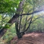 Foto 4 - Claire Bos