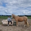 Reiki sessie tussen de paarden. Nu van 95 voor 65 euro!