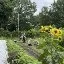 Foto 5 - Stichting Bloemendaalse Weelde