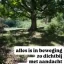 Foto 5 - Lydia Stilma