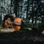 Foto 1 - Dennis Kivit