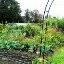 Foto 7 - Stichting Ecoring