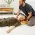 Foto 4 - Pepijn Vanthoor | Shiatsu-therapeut & Do-In Trainer