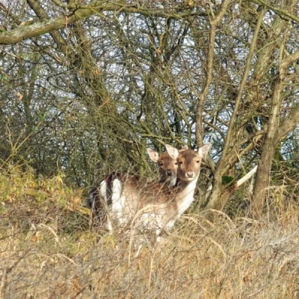 IVN-Zuidkennemerland