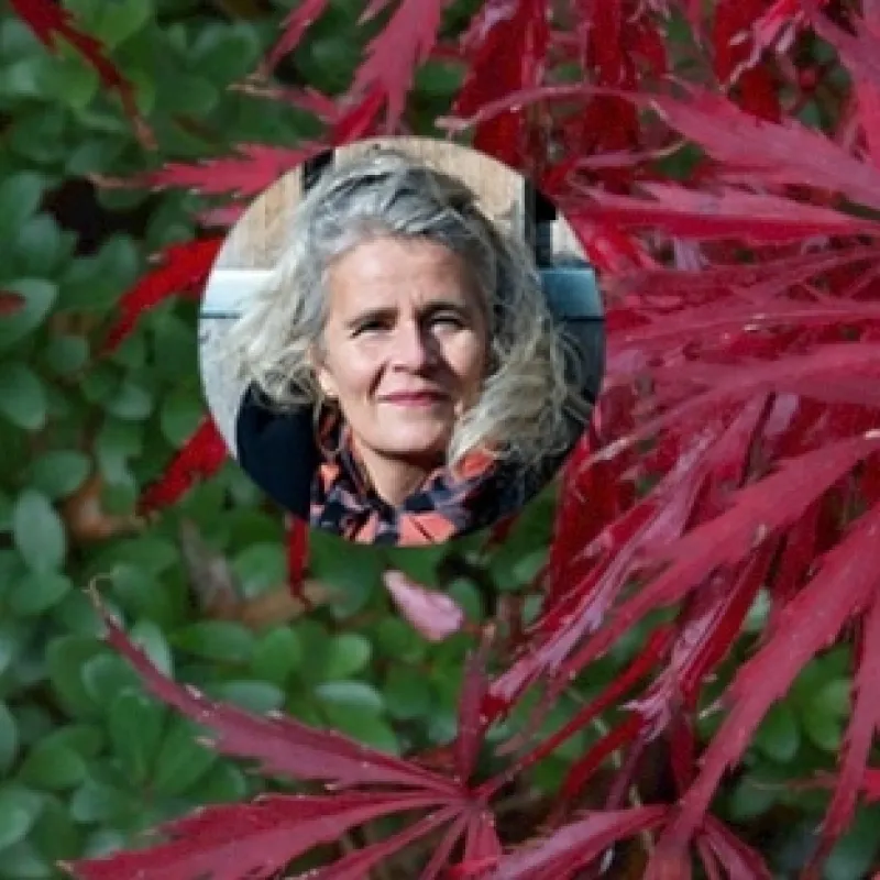 Hèlen Vink