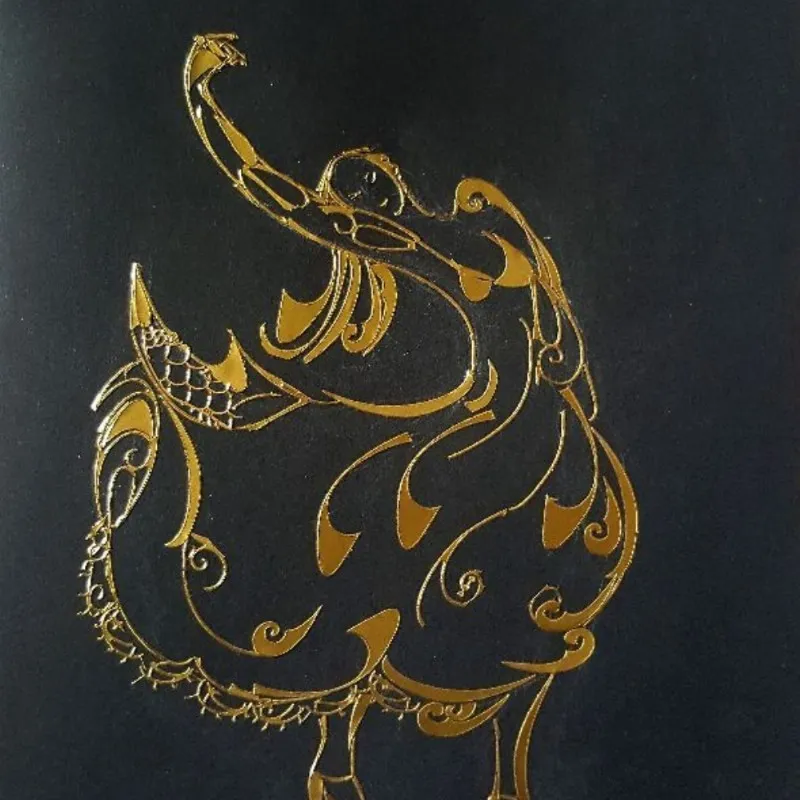 Tineke de de Wit