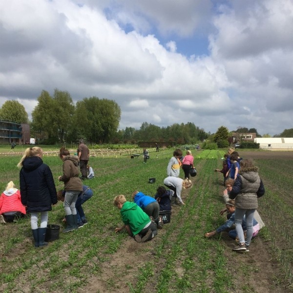 Wij Telen Groente