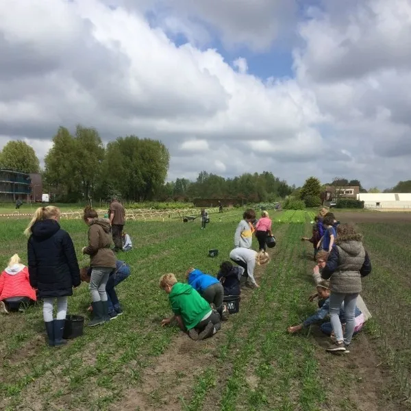 Wij Telen Groente