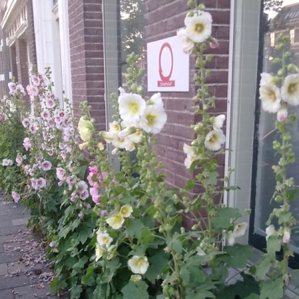 Daan de Bruijn