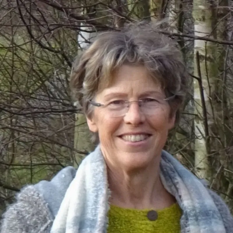 Jeanette Hollenberg