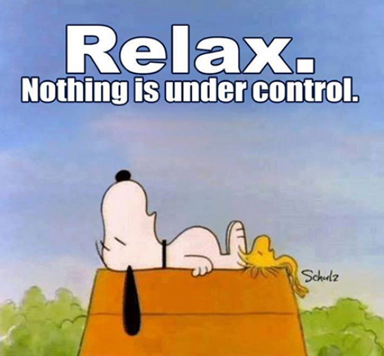 Afbeeldingsresultaat voor relax Nothing is Under Control