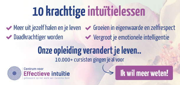 Centrum voor Effectieve Intuïtie