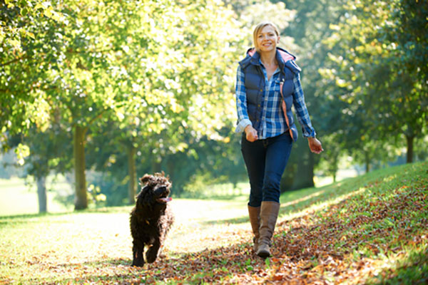 Wandelen is effectiever dan hardlopen 